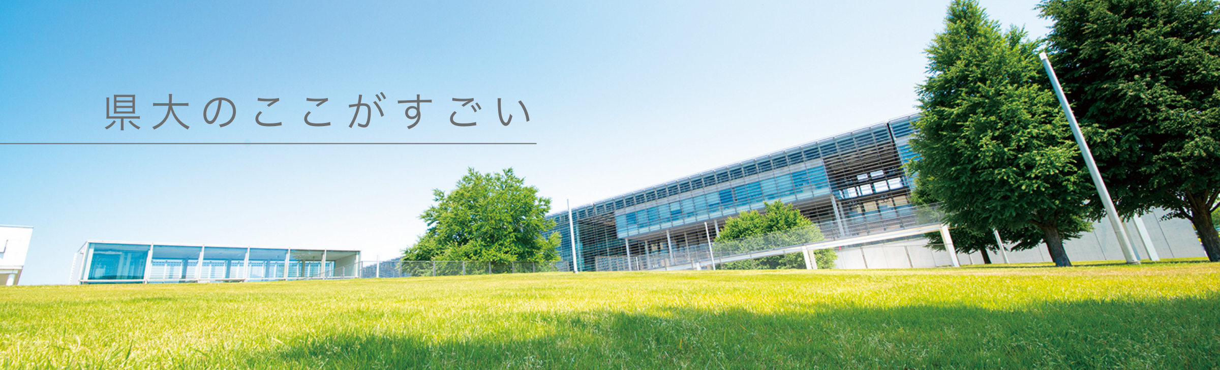 埼玉県立大学受験生応援サイト